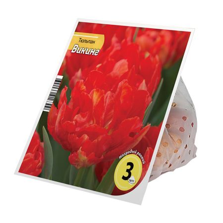 луковицы растений тюльпан Викинг 10/11 3шт