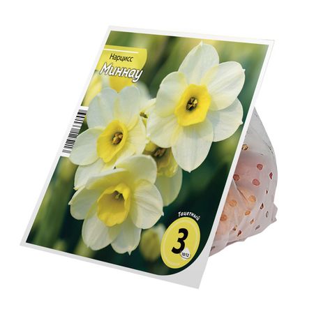 луковицы растений нарцисс Миннау 10/12 3шт
