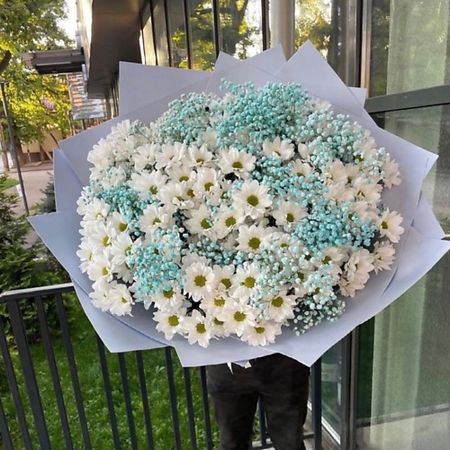 Букет живых цветов ДАРИ ЦВЕТЫ Большой букет из хризантемы с гипсофилой