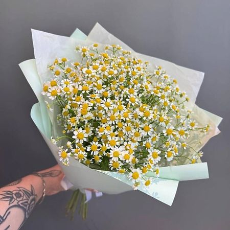 Букет живых цветов ДАРИ ЦВЕТЫ Букет из 7 кустовых ромашек