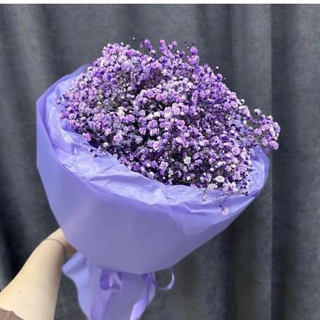 Букет живых цветов ДАРИ ЦВЕТЫ Букет гипсофилы фиолетовый