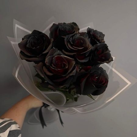Букет живых цветов ДАРИ ЦВЕТЫ Букет из 7 черных роз