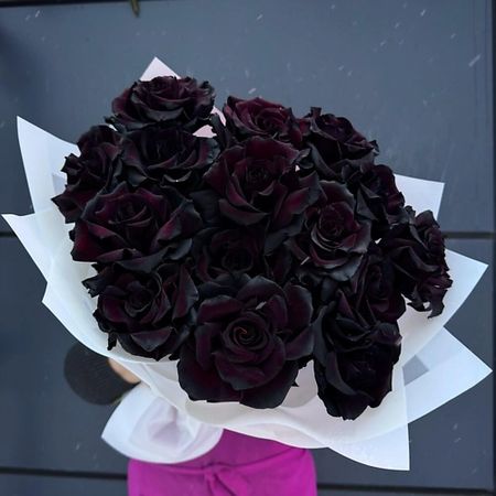 Букет живых цветов ДАРИ ЦВЕТЫ Букет из 15 чёрных французских роз сергей викторович нуртазин последний бой чёрных дьяволов