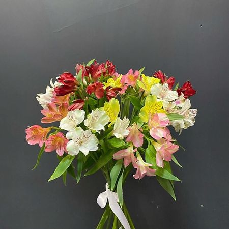 Букет живых цветов ДАРИ ЦВЕТЫ Букет из альстромерии