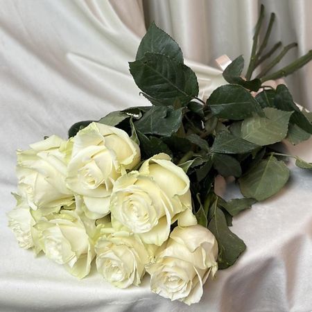 Букет живых цветов ДАРИ ЦВЕТЫ 7 белых роз эквадор