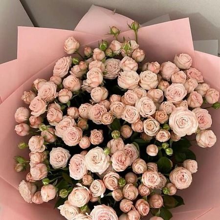Букет живых цветов ДАРИ ЦВЕТЫ Букет из 19 кустовых пионовидныз роз