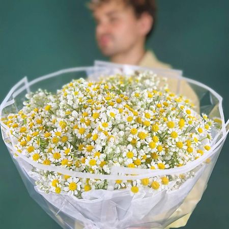 Букет живых цветов ДАРИ ЦВЕТЫ Букет из Ромашки 7 шт и белой Гипсофилы 5 шт
