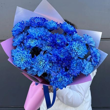 Букет живых цветов ДАРИ ЦВЕТЫ Монобукет из синих хризантем