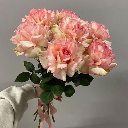 Букет живых цветов ДАРИ ЦВЕТЫ Монобукет из 7 французских роз