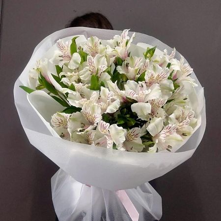 Букет живых цветов ДАРИ ЦВЕТЫ Монобукет из 9 белых альстромерий