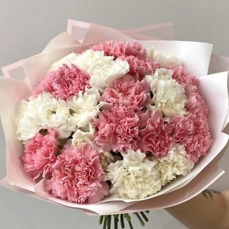 Букет живых цветов ДАРИ ЦВЕТЫ Букет из 25 нежных гвоздик раскрашиваем сюжеты корейских дорам от нежных драм до мистических триллеров