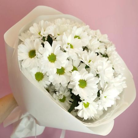Букет живых цветов ДАРИ ЦВЕТЫ Букет из 5 ромашковых хризантем в белой упаковке