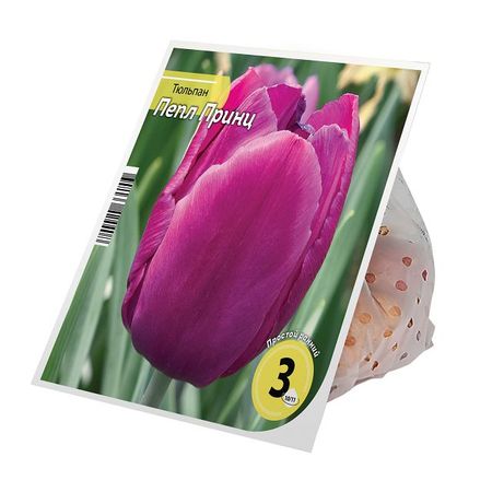 луковицы растений тюльпан Пепл Принц 10/11 3шт