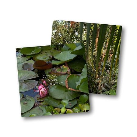 Блокнот ОПРОКИНУТЫЙ ЛЕС Блокнот в точку квадратный 'слушай своё сердце'