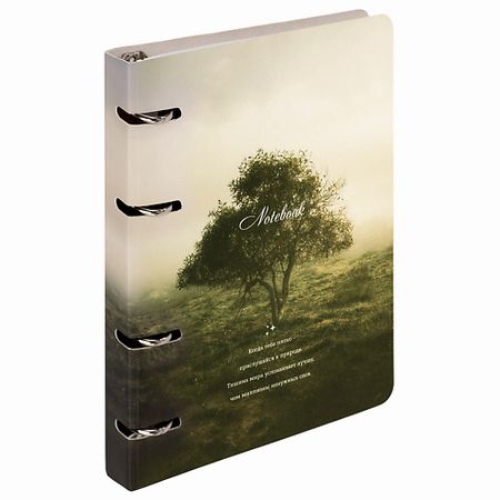 Тетрадь BRAUBERG Тетрадь на кольцах 120 листов Природа тетрадь на кольцах в клетку listoff   style 2 120 листов