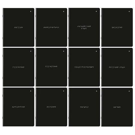 Тетрадь BRAUBERG Тетради предметные комплект MINIMAL