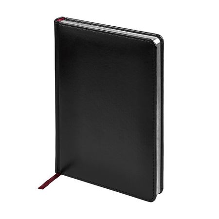 Ежедневник BRUNO VISCONTI Ежедневник недатированный А5+ 