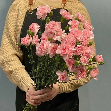 Букет живых цветов АЗАЛИЯ FLOWER PUB Букет кустовой гвоздики