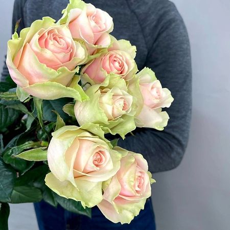 Букет живых цветов ЦВЕТЫ ДЛЯ ВАС Букет из 7 персиковых роз (Эквадор) 60 см