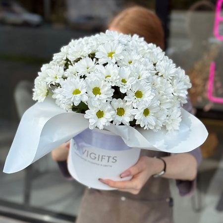 Букет живых цветов KIWIGIFTS Букет цветов живые Хризантема кустовая