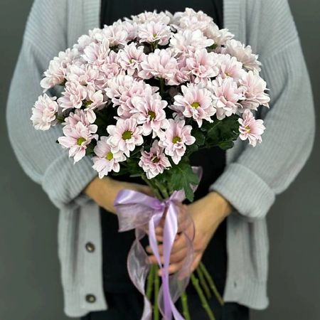 Букет живых цветов 4 СЕЗОНА Монобукет из 9 кустовых розовых хризантем