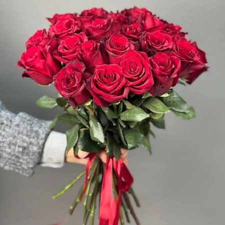 Букет живых цветов 4 СЕЗОНА Монобукет из 25 алых роз фиона уотт новинки модного сезона