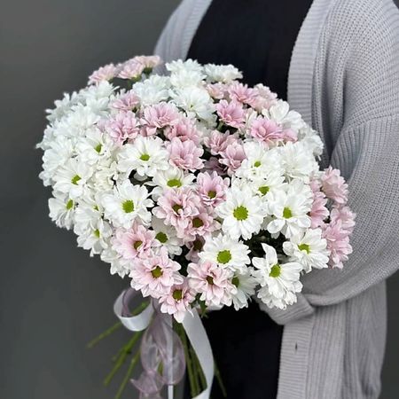 Букет живых цветов 4 СЕЗОНА Монобукет из 15 бело-розовых кустовых хризантем