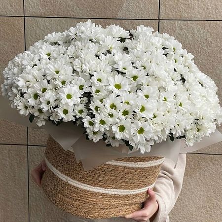 Букет живых цветов ЦВЕТОЧНЫЙ БАР LOFТ Корзина ромашковой хризантемы 101 шт