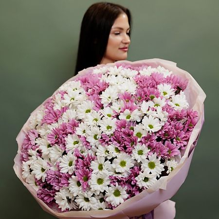 Букет живых цветов БУКЕТНАЯ ЛАВКА 51 бело-розовых хризантем