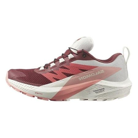 Кроссовки SALOMON Кроссовки Sense Ride 5 GORE TEX 'Syrah Peach Amber'