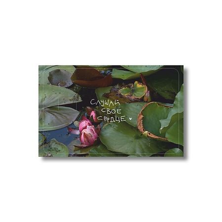 Набор наклеек ОПРОКИНУТЫЙ ЛЕС Стикер на карту 'слушай своё сердце' матовый