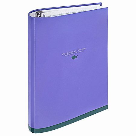 Тетрадь BRAUBERG Тетрадь на кольцах 120 листов Моноцвет тетрадь на кольцах в клетку listoff   style 2 120 листов