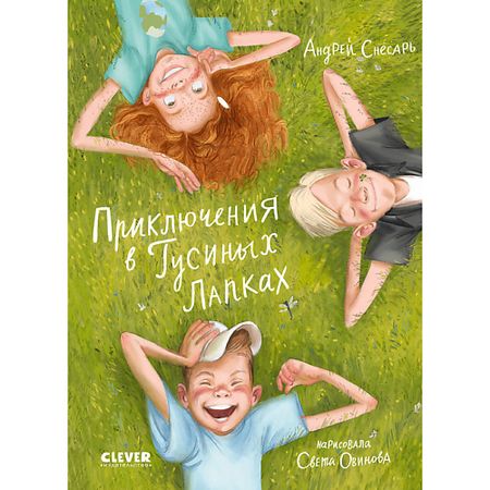 Книга Сlever CLEVER Деревенские приключения. Приключения в Гусиных Лапках