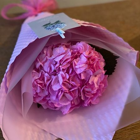 Букет живых цветов FLOWER ART HOUSE СТУДИЯ ФЛОРИСТИКИ И ДЕКОРА Гортензия в многослойной упаковке