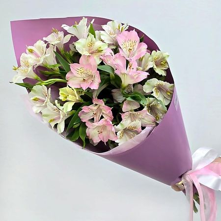 комнатное растение ТАЛИСМАН ФЛОРА Счастливый миг