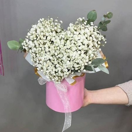 Букет живых цветов GLOW FLOWERS Гипсафила в коробочке, нежное облако