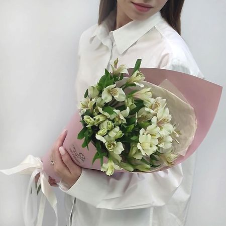 комнатное растение ТАЛИСМАН ФЛОРА Белые альстромерии в упаковке