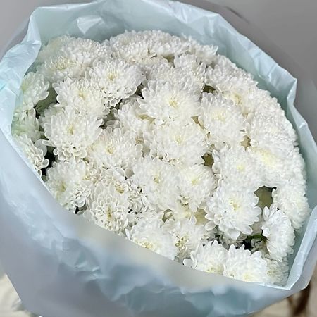 Букет живых цветов OPTROZ.RU Букет из хризантем Алтай