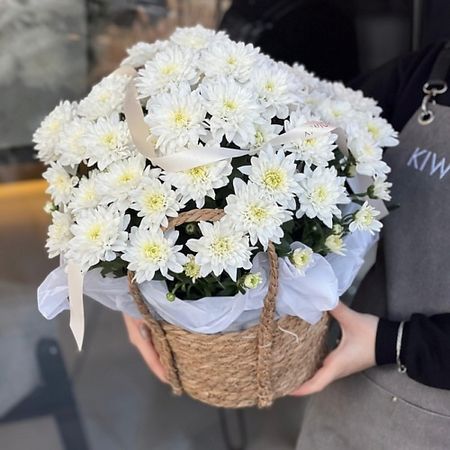 Букет живых цветов KIWIGIFTS Букет цветов живые Хризантема кустовая