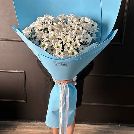 Букет живых цветов WOW BUKET Букет-гигант «Ромашка»