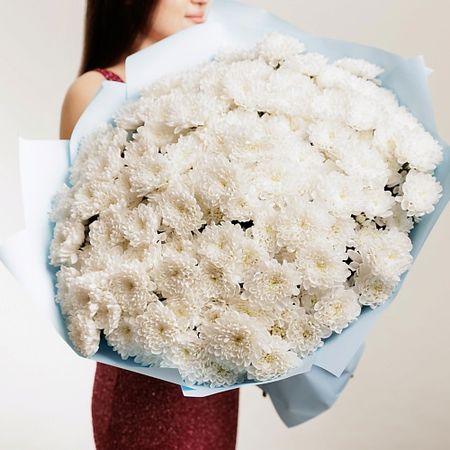 Букет живых цветов БУКЕТНАЯ ЛАВКА 25 Хризантем кустовых