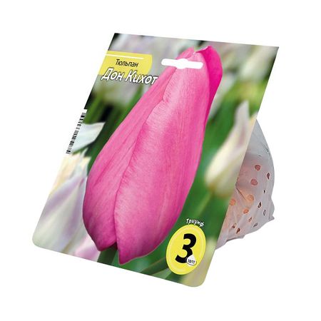луковицы растений тюльпан Дон Кихот 10/11 3шт