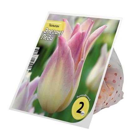 луковицы растений тюльпан Элегант Леди 10/11 2шт