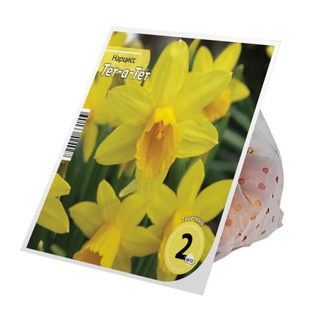 луковицы растений нарцисс Тет-а-Тет 10/12 2шт