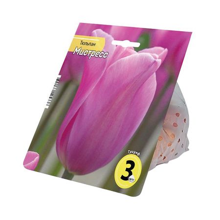 луковицы растений тюльпан Мистресс 10/11 3шт
