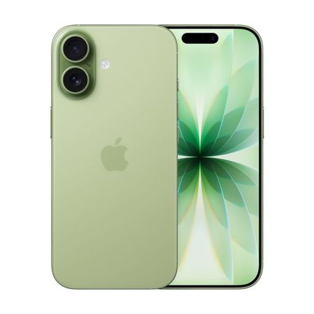 Смартфон Apple iPhone 17 256Gb (Sage) (eSim)