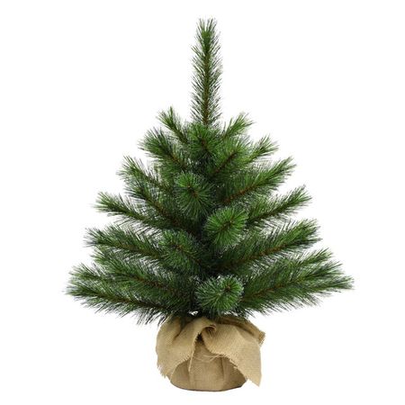 сосна Зеленая 60см в мешочке