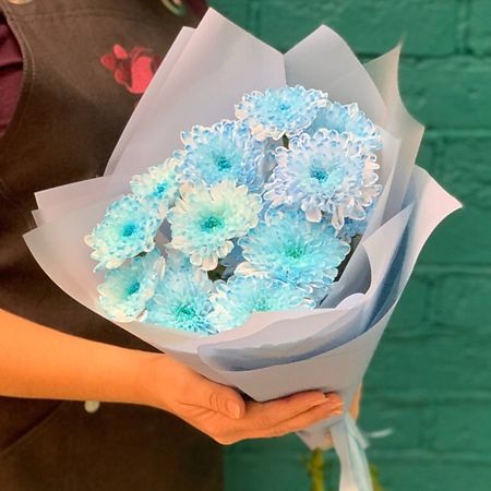 Букет живых цветов ЦВЕТЫ МИШКИ Букет из 3 голубых хризантем