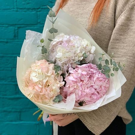 Букет живых цветов ЦВЕТЫ МИШКИ Букет из 3 гортензий