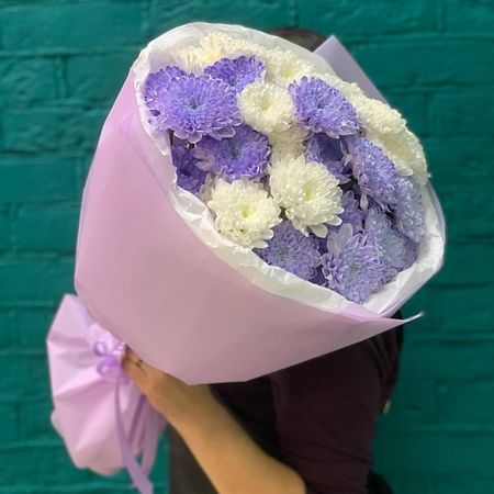 Букет живых цветов ЦВЕТЫ МИШКИ Букет из 7 фиолетово-белых кустовых хризантем